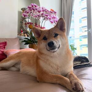 token image