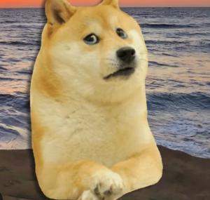 token image